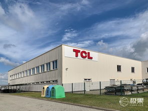 對話王成 TCL如何在2020年躋身歐洲前三，國內貿易代理又扮演何種角色？